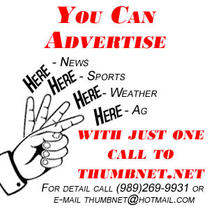 Advertise Here